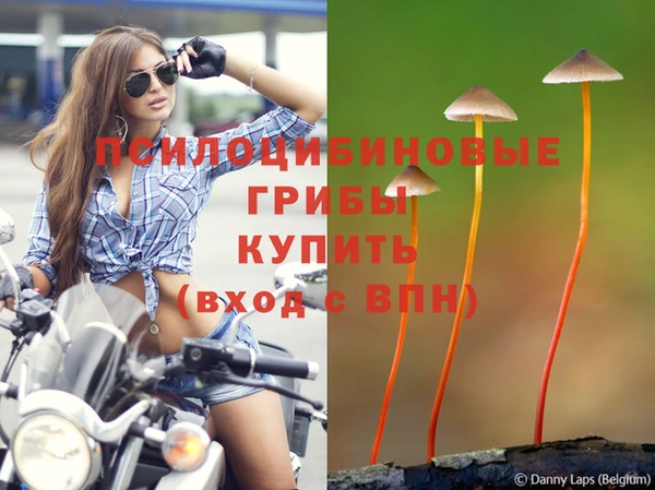 каннабис Арсеньев